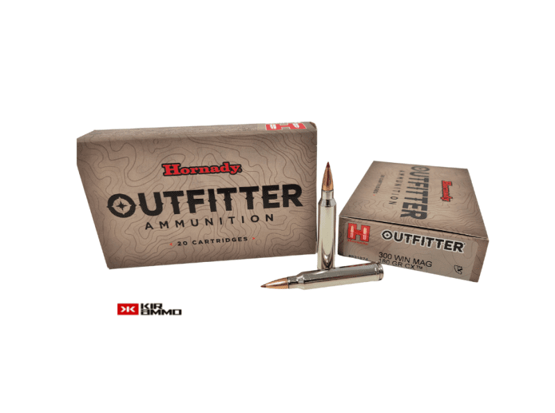 HORNADY OUTFITTER 300 WIN MAG 180 GR