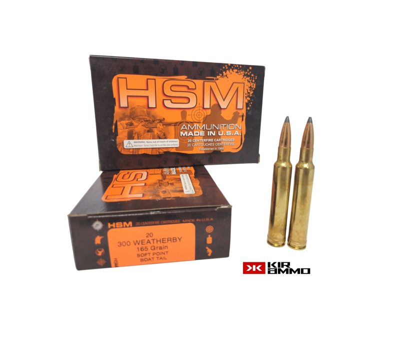 HSM .300 Weatherby 165 Grain Soft Point Boat Tail edit scaled 1